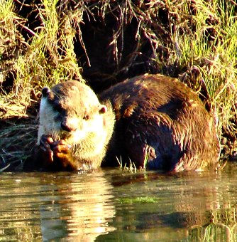 Discover Sedgefield South Africa